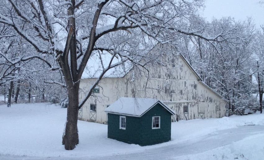 A snow-covered landscape featuring a weathered white barn and a small green shed amidst bare trees. A snow-covered landscape featuring a weathered white barn and a small green shed amidst bare trees.