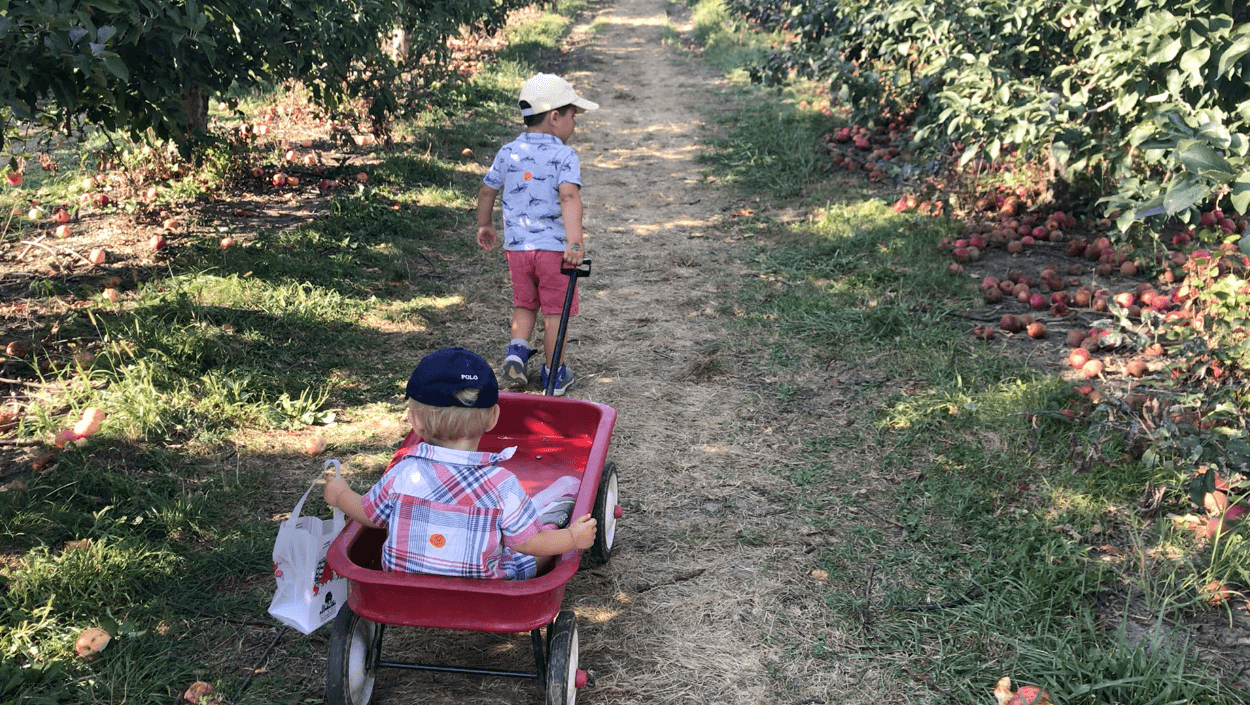 Two young children walking through an apple orchard: one pushes a scooter while the other sits in a red wagon.