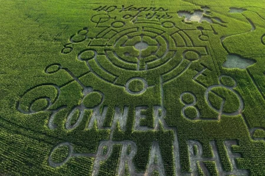Aerial view of a corn maze with the text "40 Years of the Conner Prairie" etched into the field.