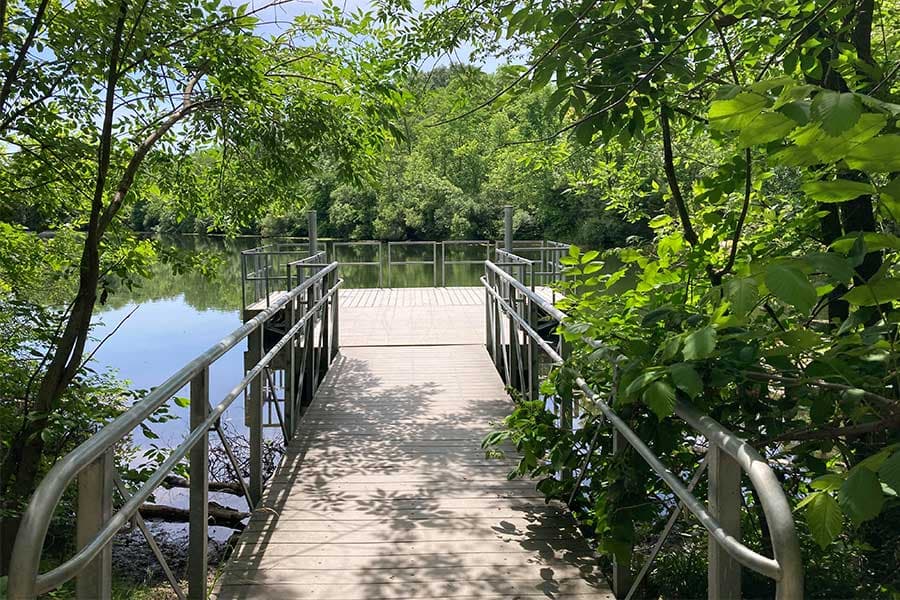 A wooden dock extends into a calm body of water, surrounded by lush greenery.