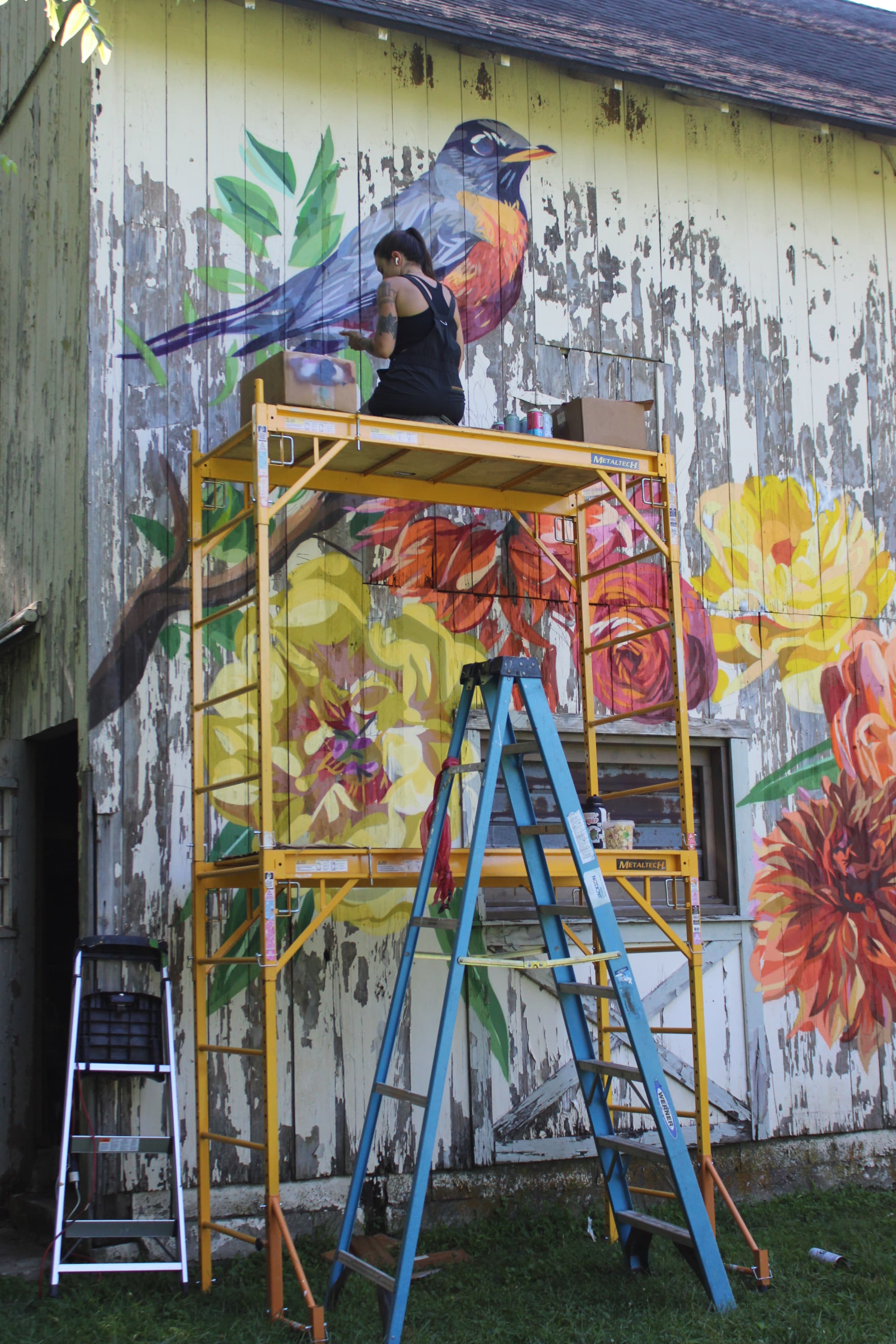 An artist paints a colorful mural of a bird and flowers on a weathered barn wall while standing on a scaffold.
