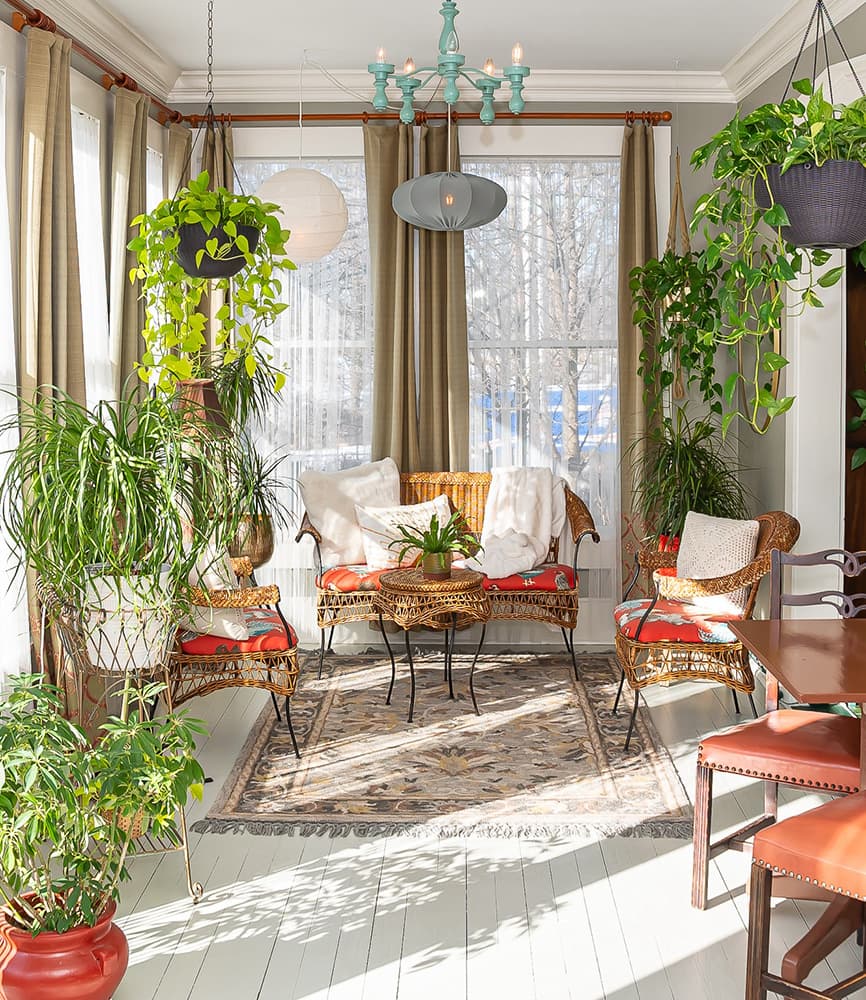 A cozy, sunlit room with rattan furniture, vibrant plants, and a decorative chandelier.