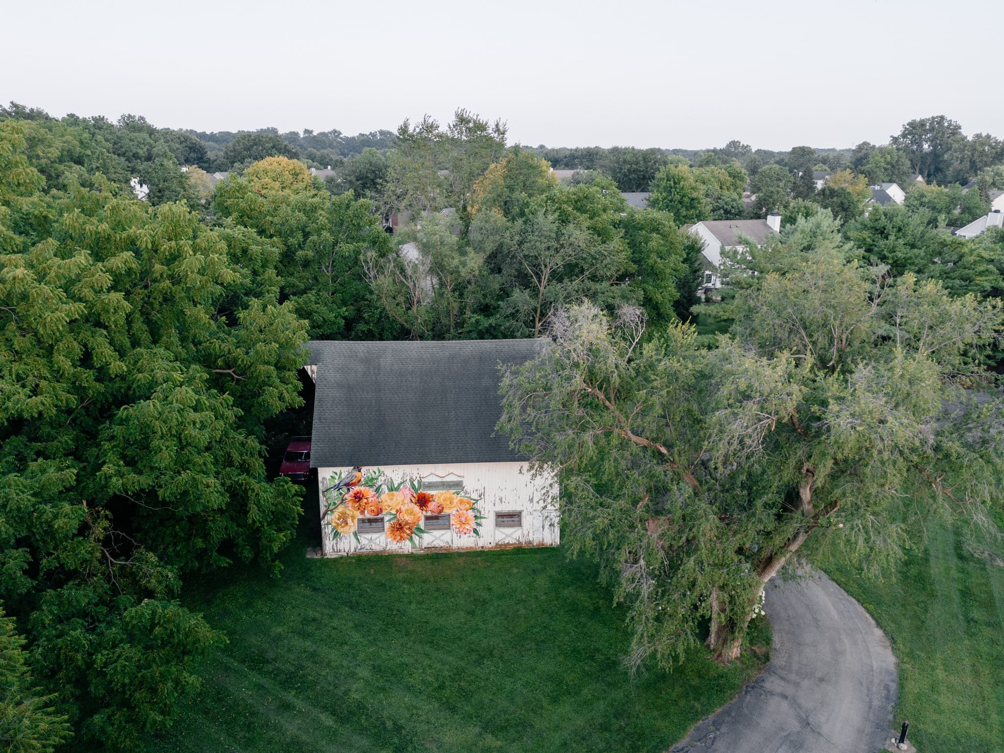 Aerial view of a barn with a colorful mural, surrounded by lush greenery and residential homes.