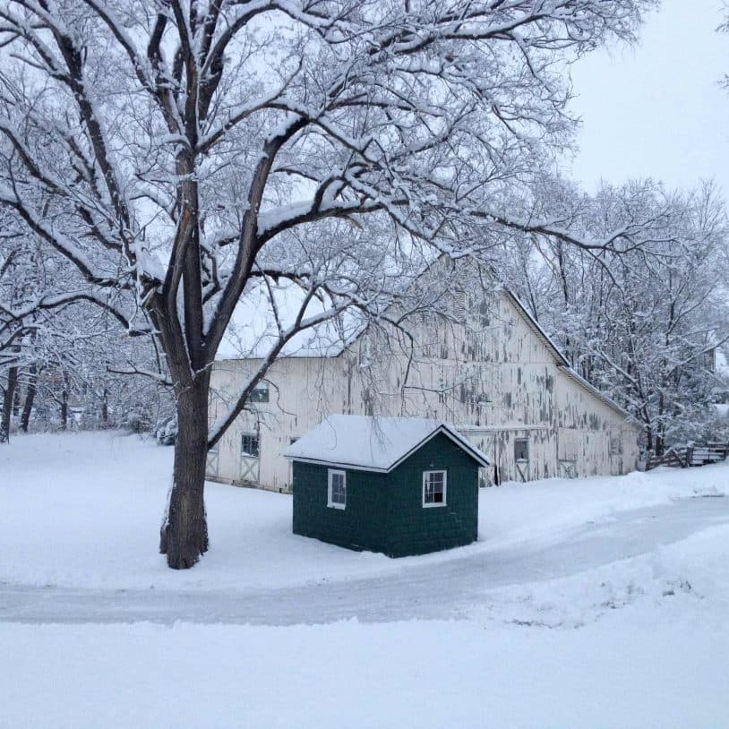 A snowy landscape featuring a green shed, a large barn, and a leafless tree.