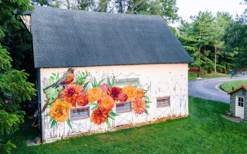 A rustic barn features a vibrant mural of flowers and a bird. A rustic barn features a vibrant mural of flowers and a bird.