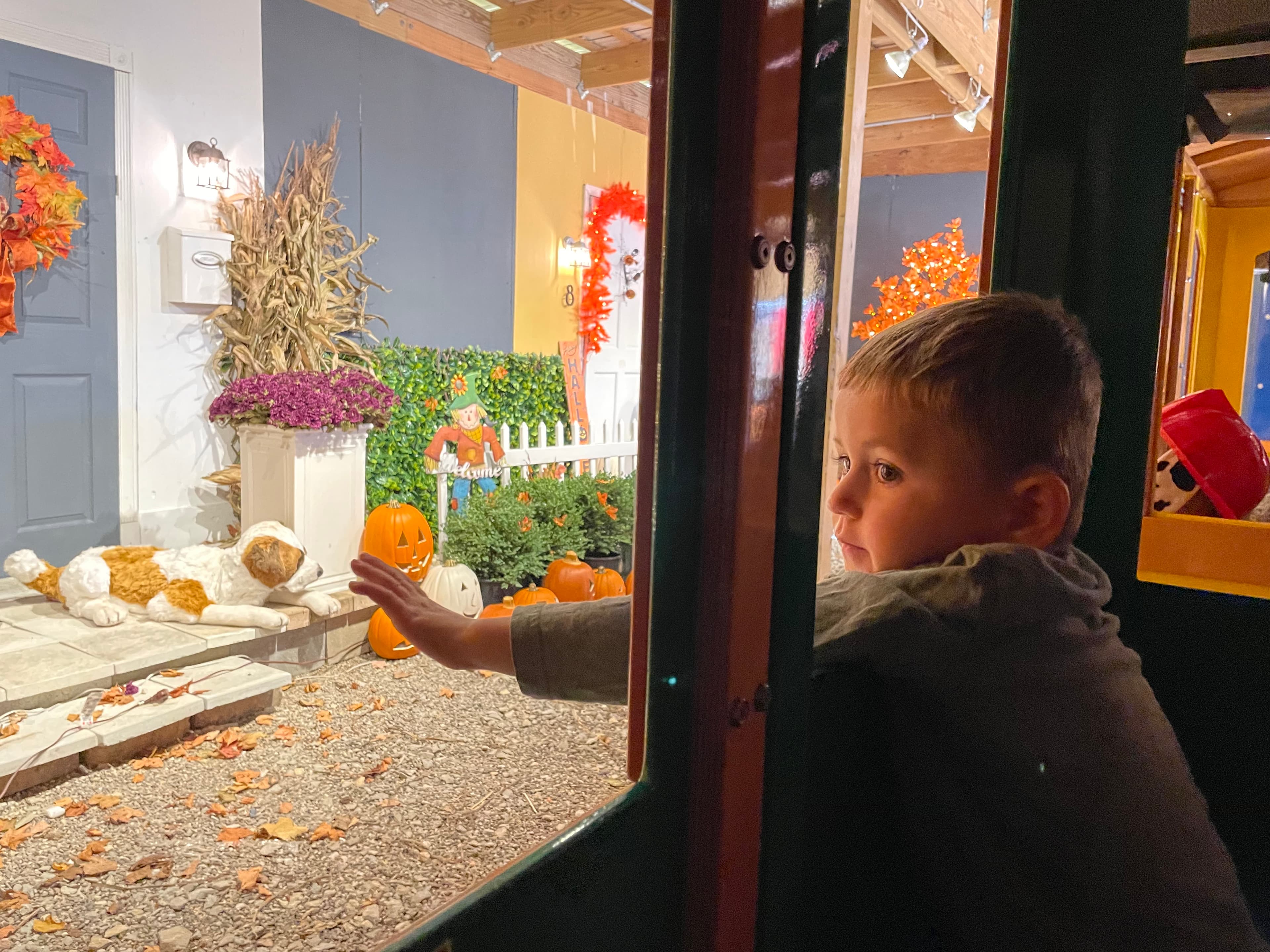 A young boy gazes outside a window, waving at a decorated autumn scene with pumpkins and a friendly dog.