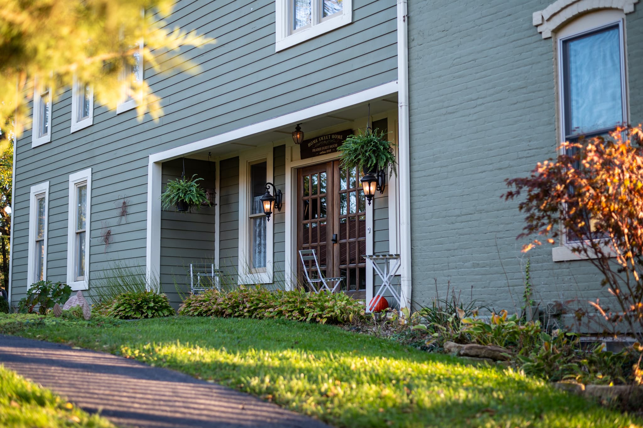 A green house with hanging plants and a welcoming entrance surrounded by lush greenery.