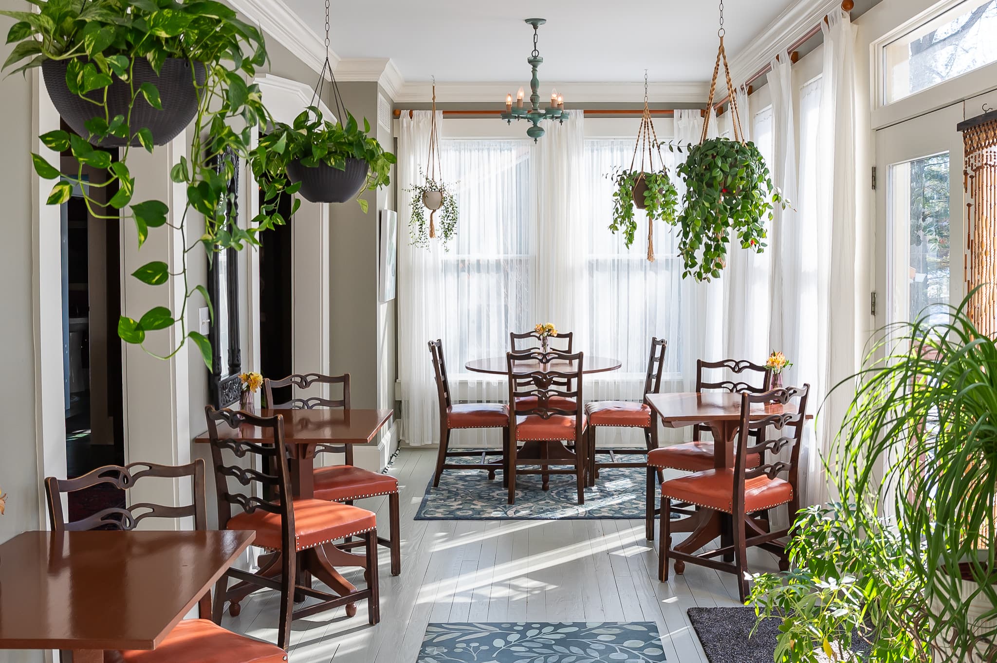 A bright dining area with wooden tables, chairs, and hanging plants.