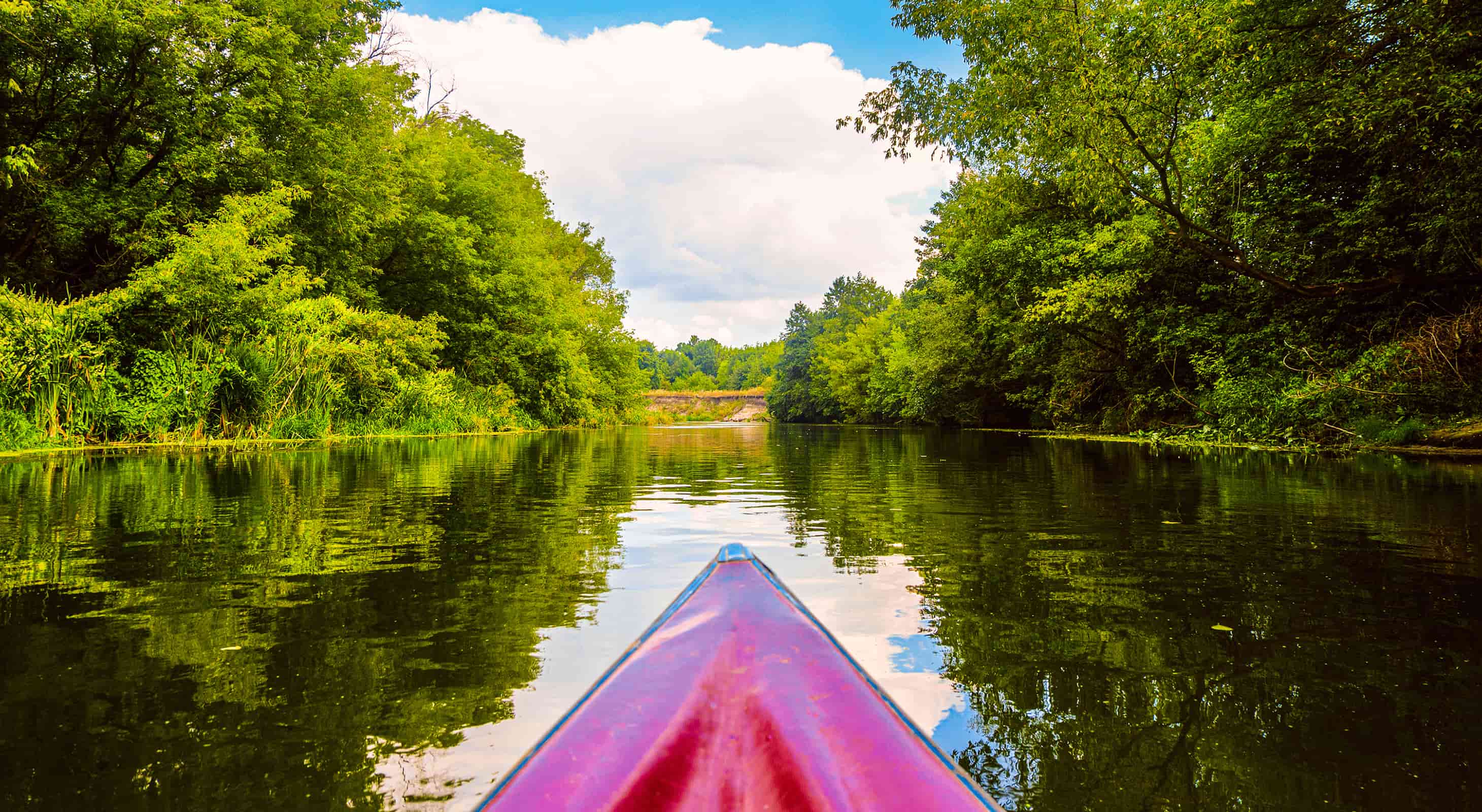 View from a kayak on a calm river surrounded by lush greenery and a blue sky. View from a kayak on a calm river surrounded by lush greenery and a blue sky.