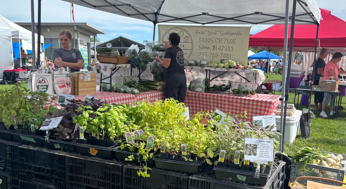Vendor booth selling plants and fresh produce at the Fishers Farmers Market in Indiana.